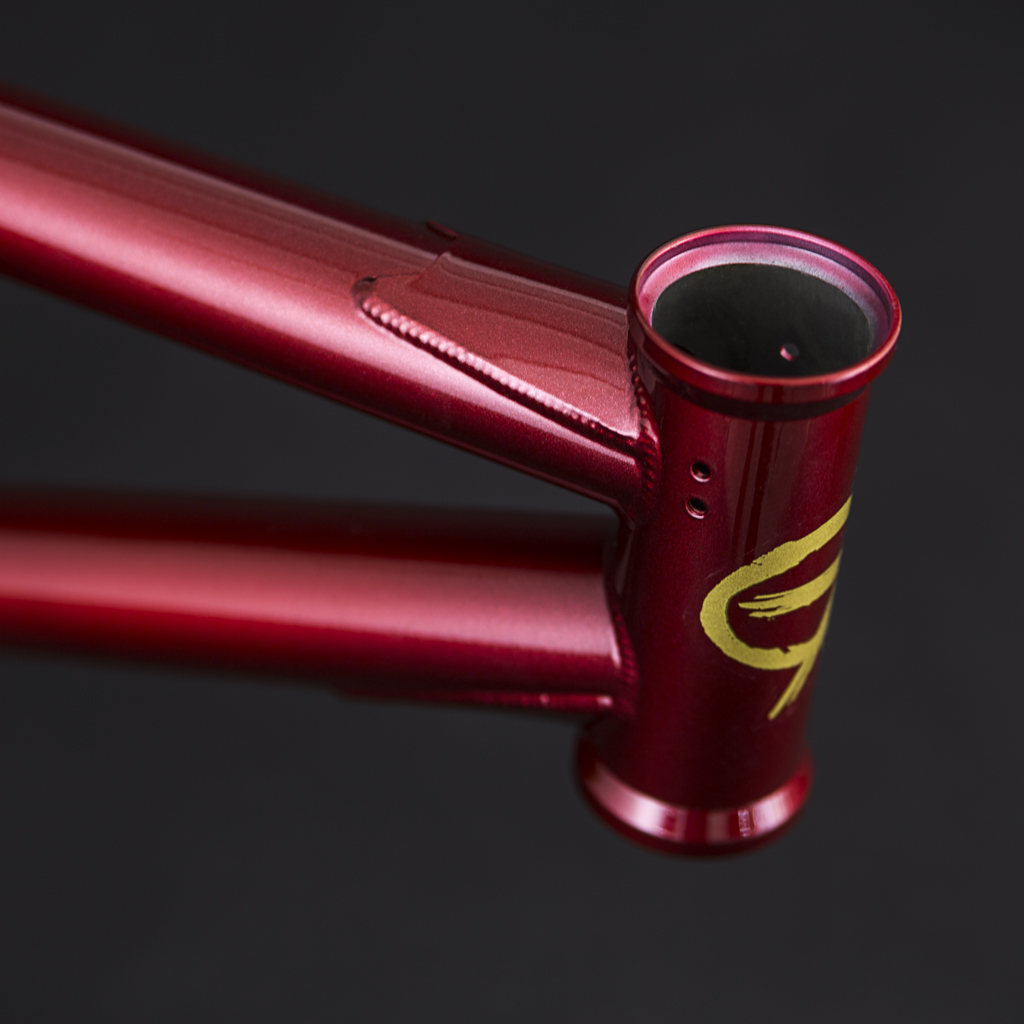 Flybikes BMX Larry Edgar Geo Frame 2017 Sneak Peek